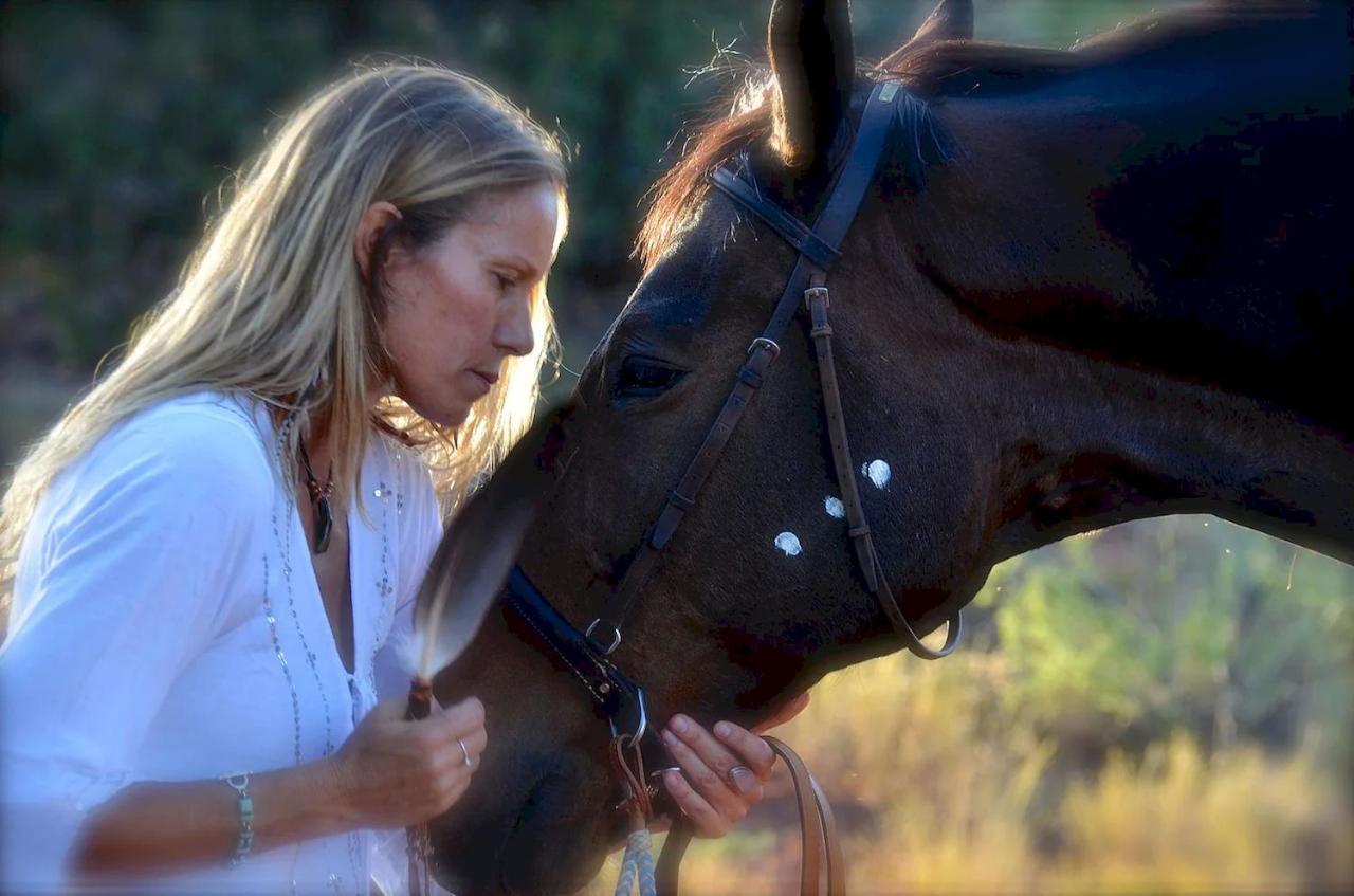 The Mountain Lion - Horses Sedona'S Most Loved Екстериор снимка